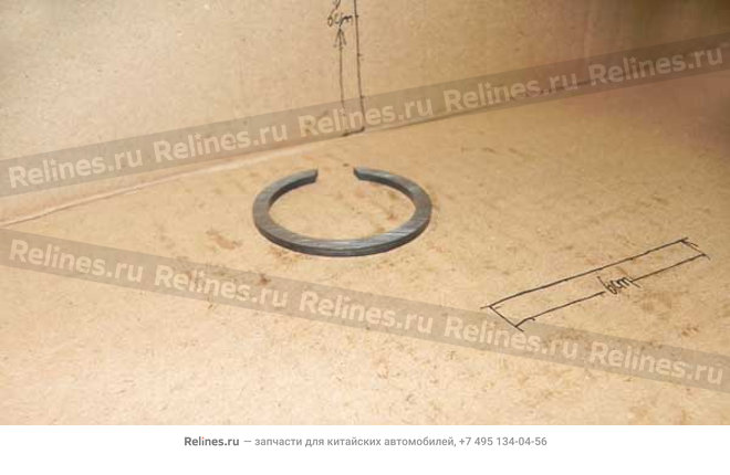 Retainer ring-input shaft