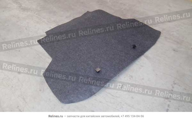 Carpet assy - luggage compartment - A21-8***40TA
