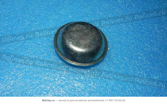 RR bearing cover - S22-***019
