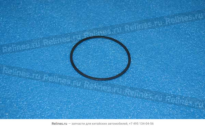 Washer-differential RR bearing - 523MTB***1704AR