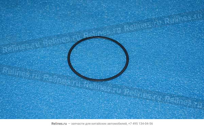 Washer-differential RR bearing - 523MTB***1704AM