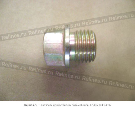 Flanged locking screw(M14×1.5×10) - SC-***024