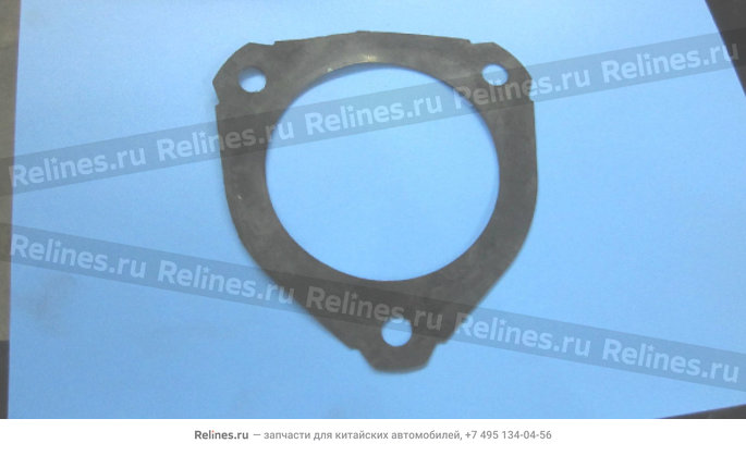 Washer, front shock absorber