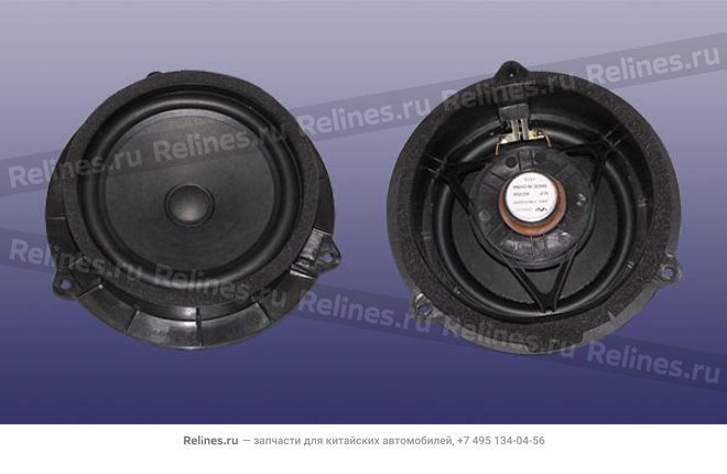 Full range speaker - J42-***220