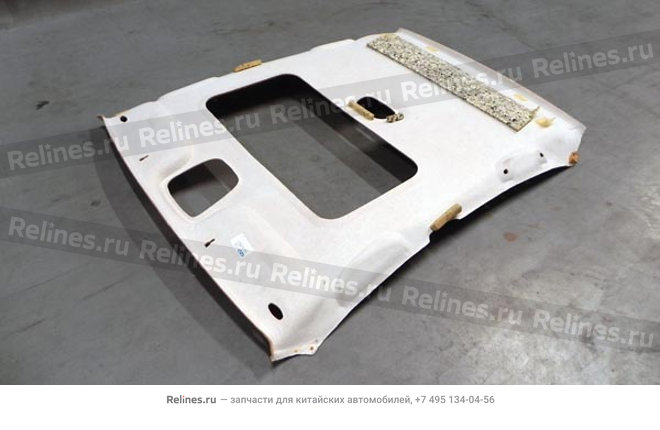 Ceiling assy
